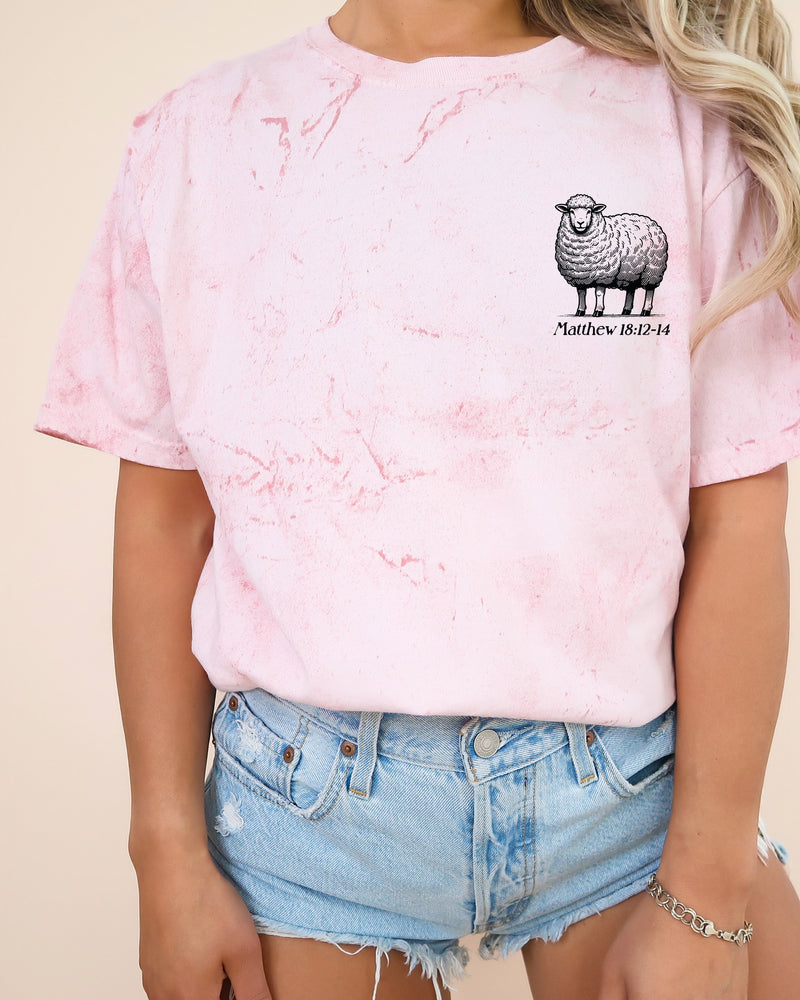 He Left The 99 To Find Me Christian Garment-Dyed T-Shirt, Lost Sheep Faith Gift