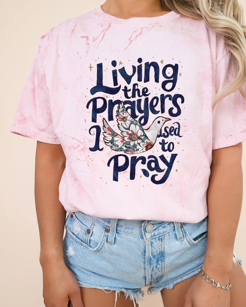 Living The Prayer Christian Comfort Colors T-Shirt, Bible Faith Gift