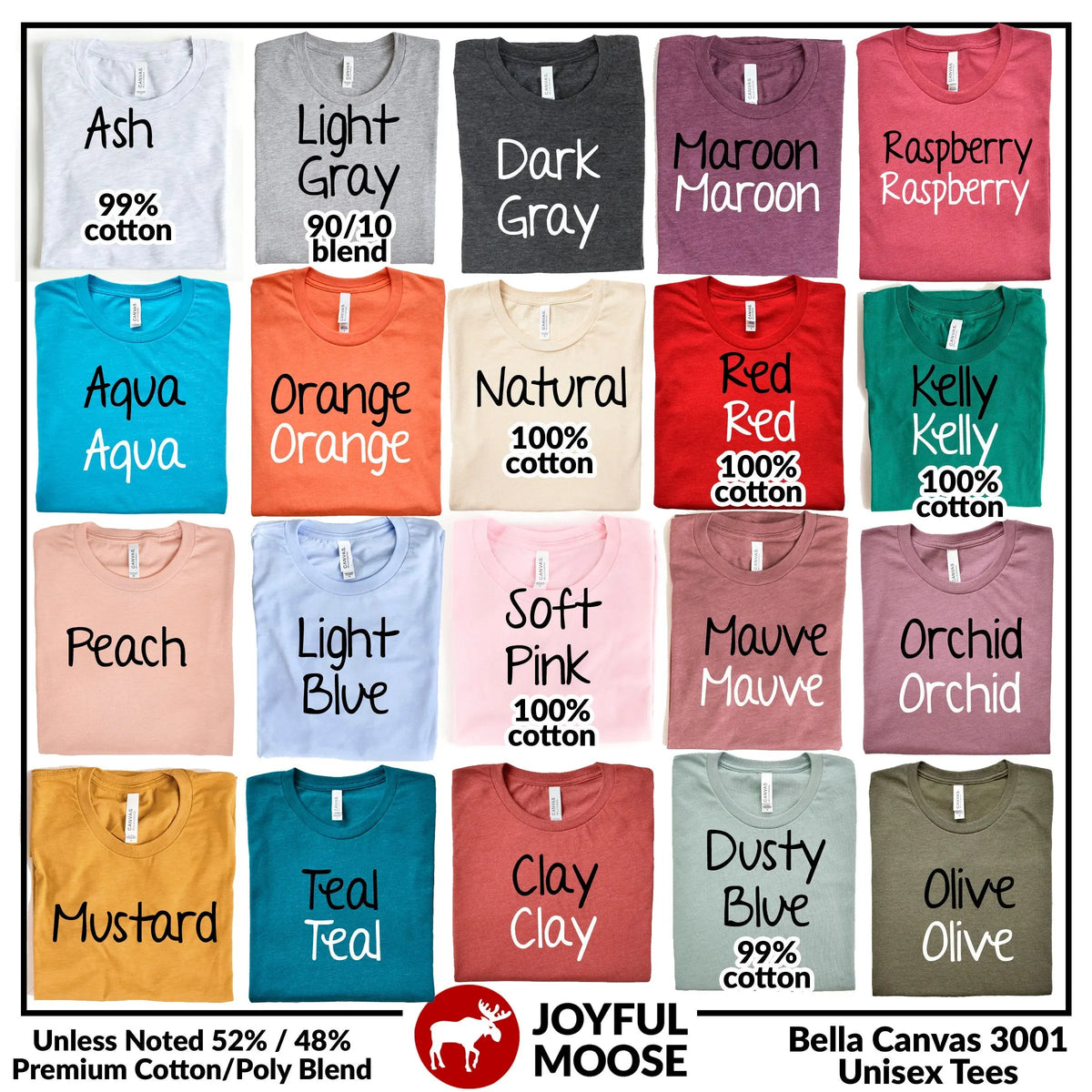 Proverbs 31 Woman Shirt — Christian Women’s T-Shirt
